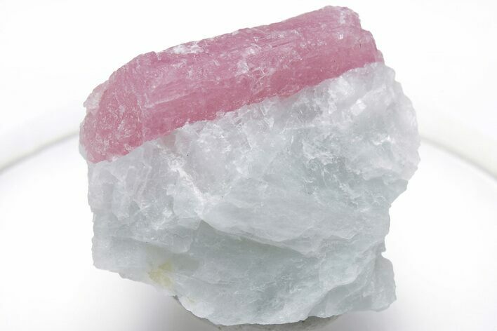 Pink Tourmaline (Rubellite) in Quartz - Brazil #221596